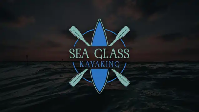 Tampa: Clear Glowing Kayak Nighttime Tour