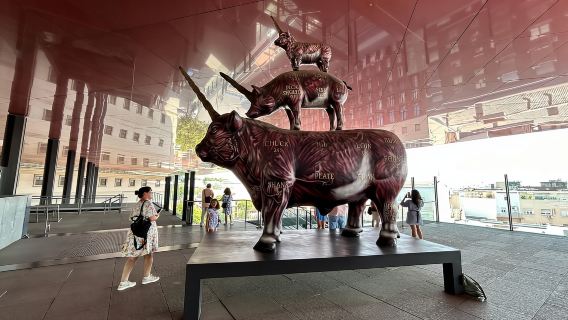Madrid: visita guidata al Museo Reina Sofía