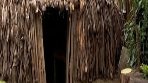 Excursion d'une journée dans une ferme de café avec Chagga Tribe Safari-Moshi