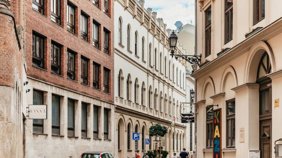 Budapest: Jewish Heritage Guided Tour with Synagogue Ticket