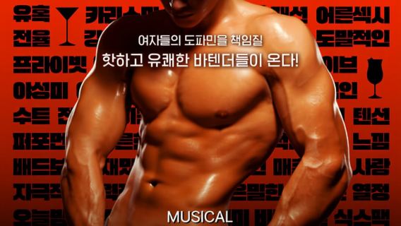 Seoul: Musical Hunky Show Experience