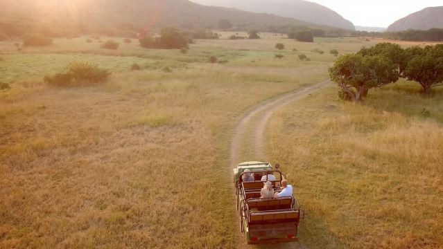 Full-Day Safari at Aquila Private Game Reserve in South Africa (Including the Big Five)