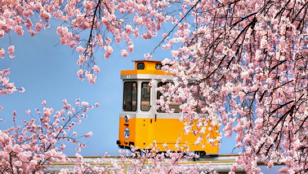 Dayang Indah & Budaya Busan: Kampung Gamcheon & Pilihan Kapsul Langit