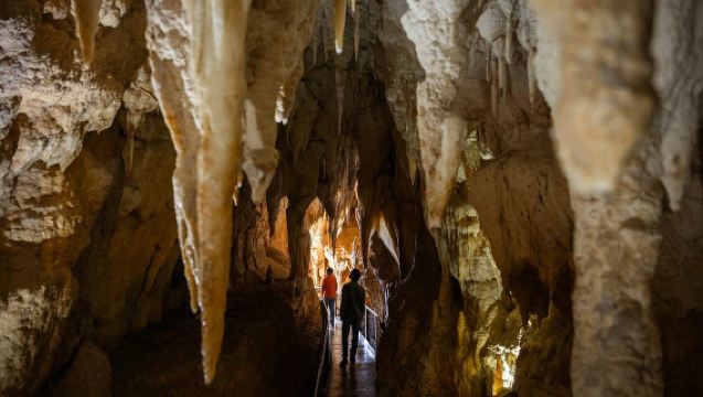 Waitomo Caves: Ruakuri Glowworm Cave Guided Walking Tour