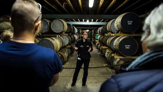 Инвергордон: Инвернесс, замок Каудор и тур по виски Хайленда.