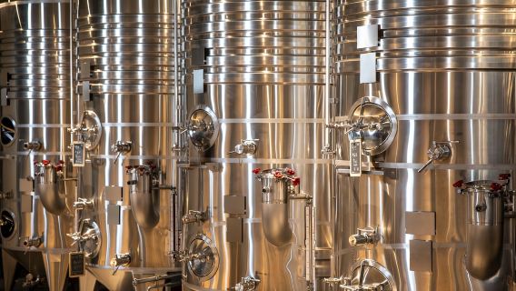 From Aix en Provence: Half-day Wine Tour in Provence