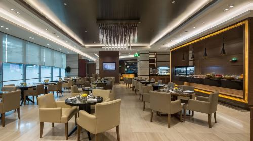 Dubai International Airport VIP lounge pass|transit lounge|VIP transfer overnight|optional dining/shower/rest 9