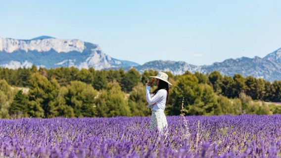 Excursión de un día a las Gargantas del Verdon y campos de lavanda desde Niza (visita al pueblo de cerámica)