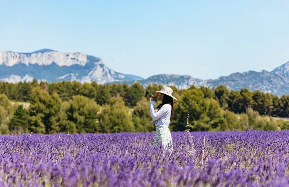 法國尼斯出發 韋爾東峽谷與薰衣草田一日遊(打卡陶瓷小鎮)