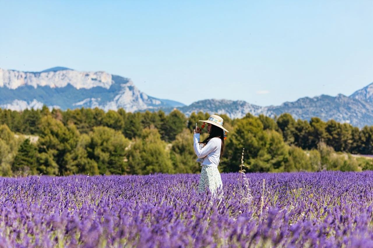 1-day tour to Verdon Gorge and lavender fields from Nice, France (visit the ceramic village)