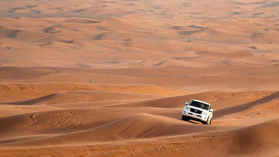 Kombinationsangebot: Vormittags Stadtrundfahrt durch Dubai und abendliche Premium-Wüstensafari mit Abendessen