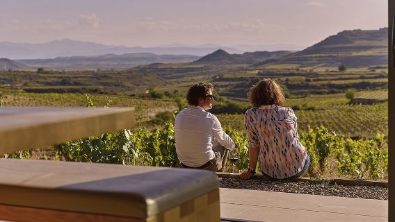 Wine Tour: 2 Wineries From Logroño