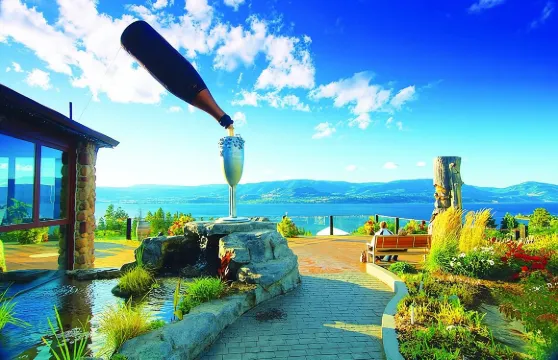 基洛納或西基洛納下午觀光葡萄酒之旅