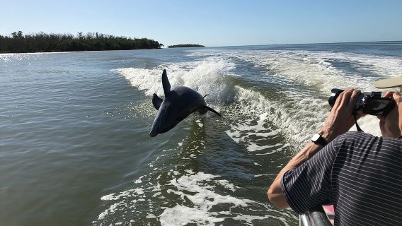 Fort LauderdaleTours