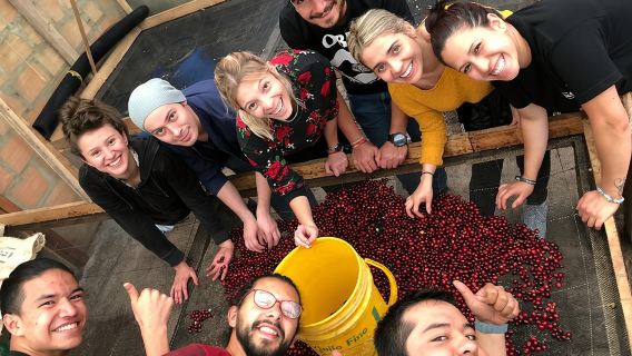 Lawatan Sehari Lembah Cocora, Salento dan Ladang Kopi