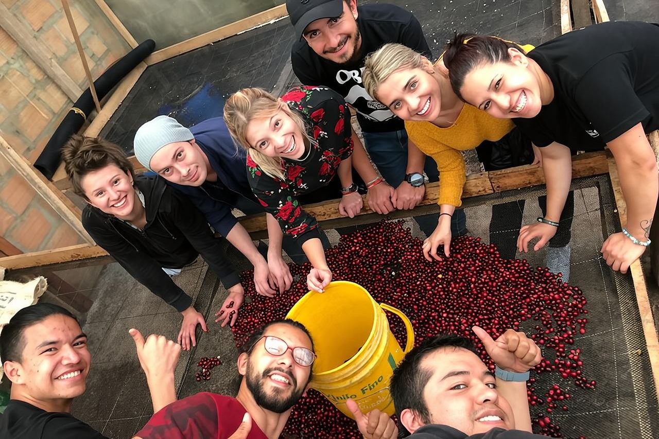 Cocora Valley, Salento and Coffee Farm Day Tour 