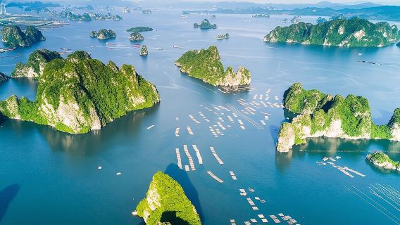 Tour du thuyền Hạ Long 6 giờ tham quan hang động, chèo thuyền kayak, ăn trưa, xe đưa đón từ Hà Nội