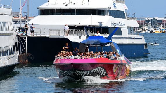 Lawatan Menonton Paus Boston: lawatan sehari ke Akuarium New England di Boston