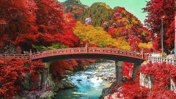 Excursion privée d'une journée à Nikko avec chauffeur anglophone