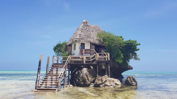 Bosque de Jozani, Cueva de Kuza, Playa de Paje y Restaurante The Rock
