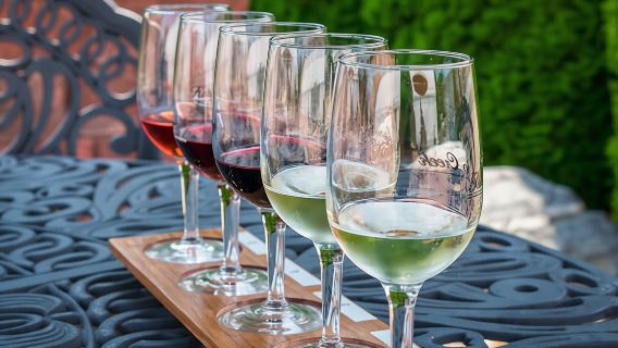 Winemaker for one day