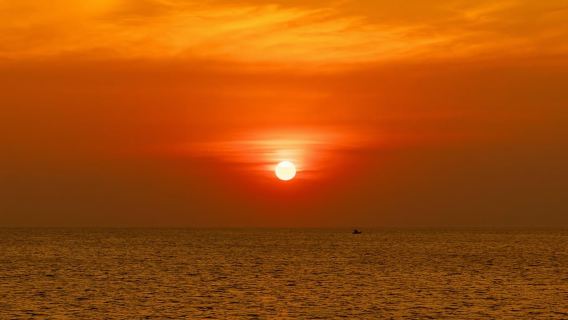 ตกปลาหมึกยักษ์กลางคืน