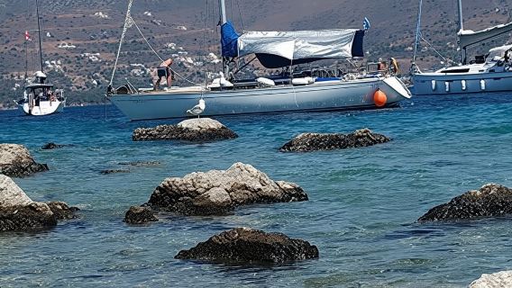 ทัวร์ 3 เกาะจากเอเธนส์ (Akistini/Moni หรือ Mytopi/Aegina)