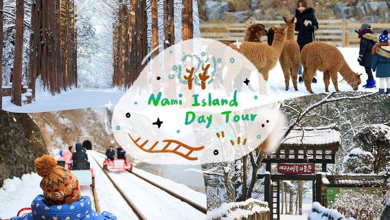 Alpaca World e Nami Island con Gangchon Rail Bike Tour
