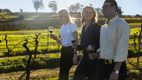 Hunter Valley Wine Tour from Sydney with Lunch and 3 Cellar Door Tastings