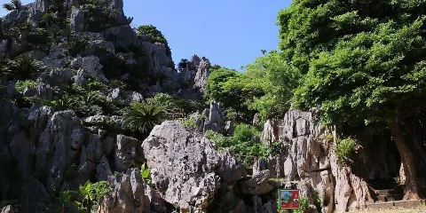 沖繩北部島嶼Hip-Hop巴士C線之旅