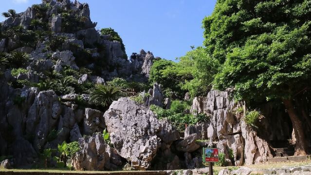 Okinawa Hip-Hop Bus C Course Tour to Northern Island