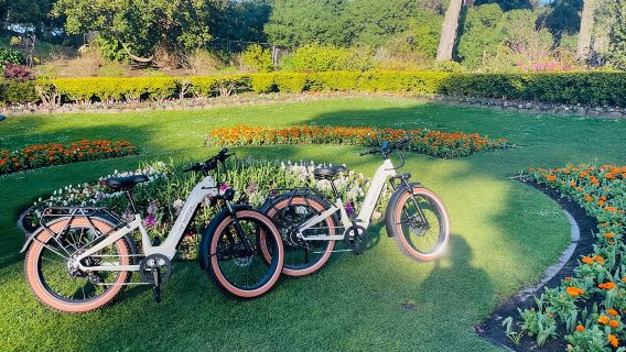 San Francisco: Geführte E-Bike-Tour „Summer of Love“