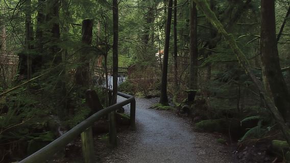 Vancouver: Capilano River Hatchery Love the Land Tour