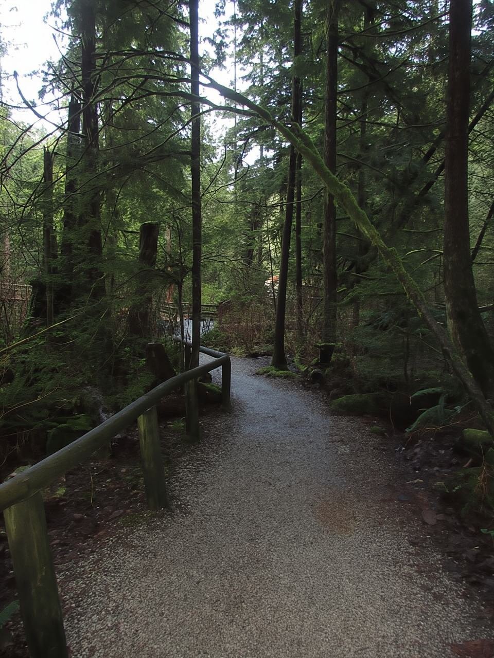 Vancouver: Recorrido "Ama la Tierra" del criadero del río Capilano