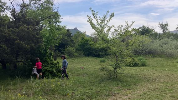 Dari Tbilisi: Mtskheta Walking Tour di sepanjang Sungai Aragvi