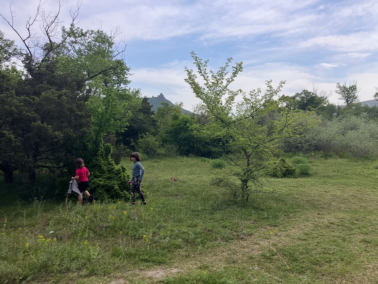 Ab Tiflis: Mzcheta-Rundgang entlang des Flusses Aragwi