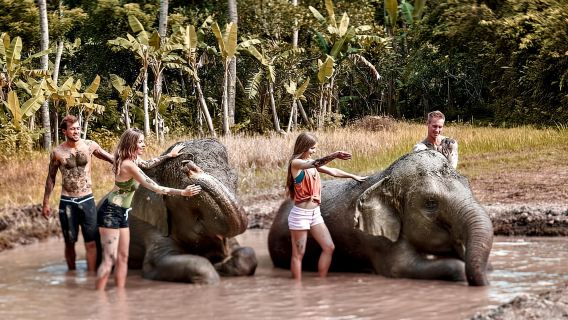 สวนสัตว์บาหลี: ประสบการณ์การดูแลช้างพร้อมไกด์และอาบโคลน