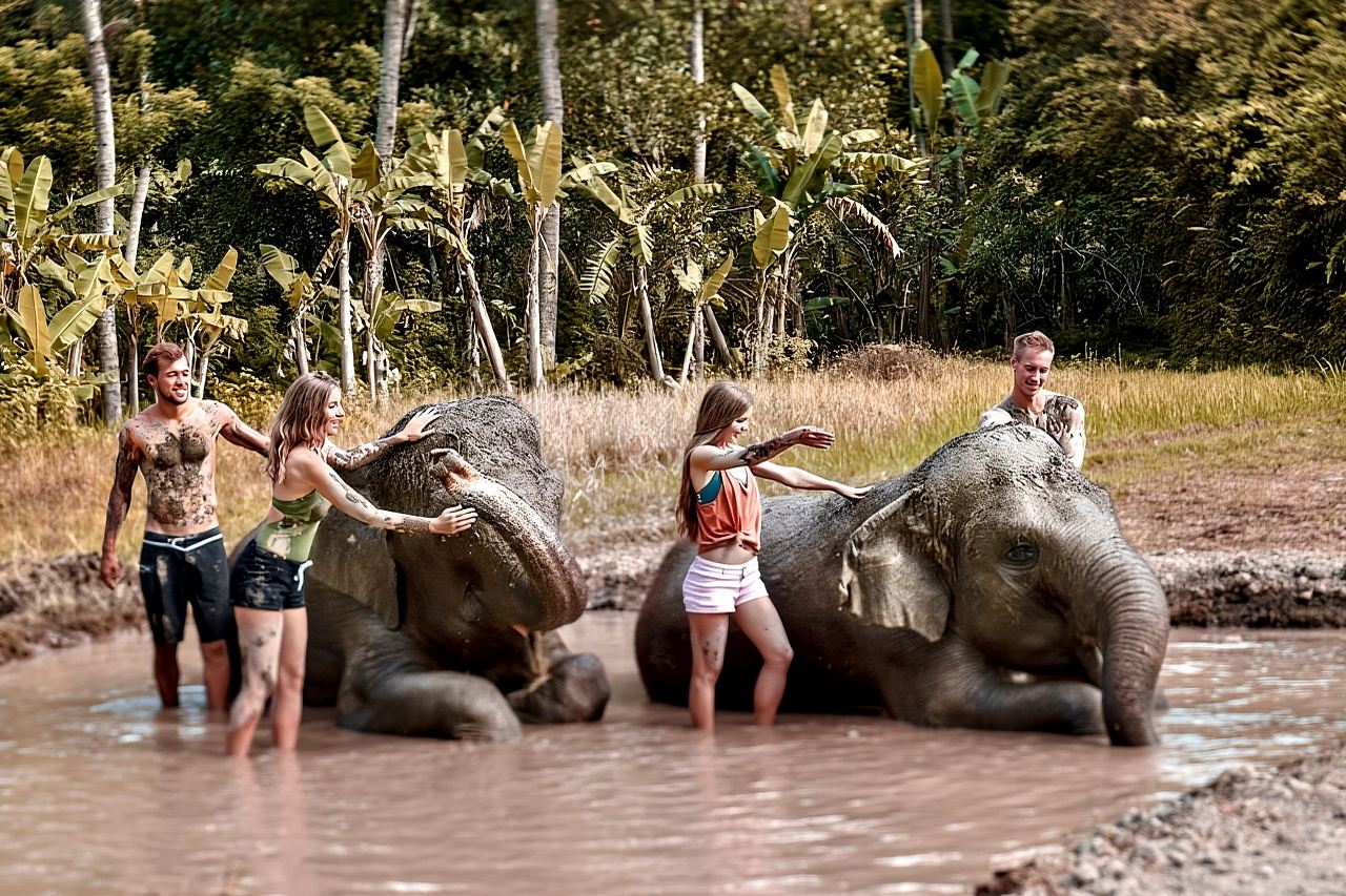 Bali Zoo: Guided Elephant Care Experience with Mud Bath
