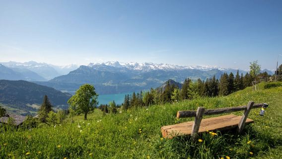 Mount Rigi: Day Pass