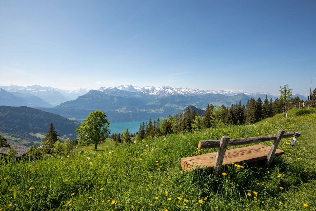 리기산: 당일권