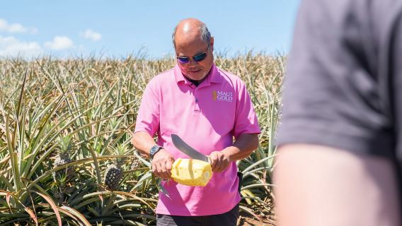 Hali'imaile: Pineapple Farm Tour