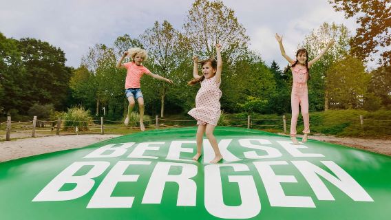 Hilvarenbeek: Speelland Beekse Bergen 입장권