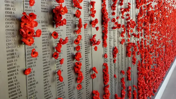 Da Sydney: tour di un giorno a Canberra