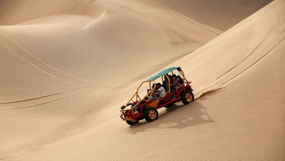 Desde Lima: Tour guiado de día completo a Paracas y el oasis de Huacachina