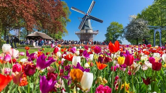 Amsterdam: ingresso al Keukenhof e navetta con ritorno flessibile