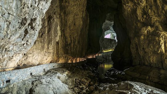 Guided tour of the Lipica Stud Farm and Skocjan Caves from Trieste