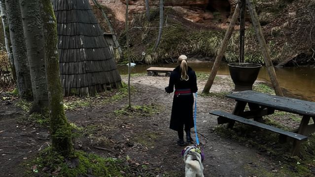 Riga: Paseo con huskies por el sendero natural