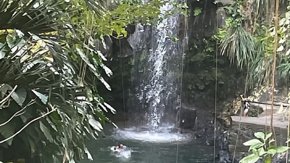 Grand Tours Grenada Call the Boss Taxi Luxurious Island Tour