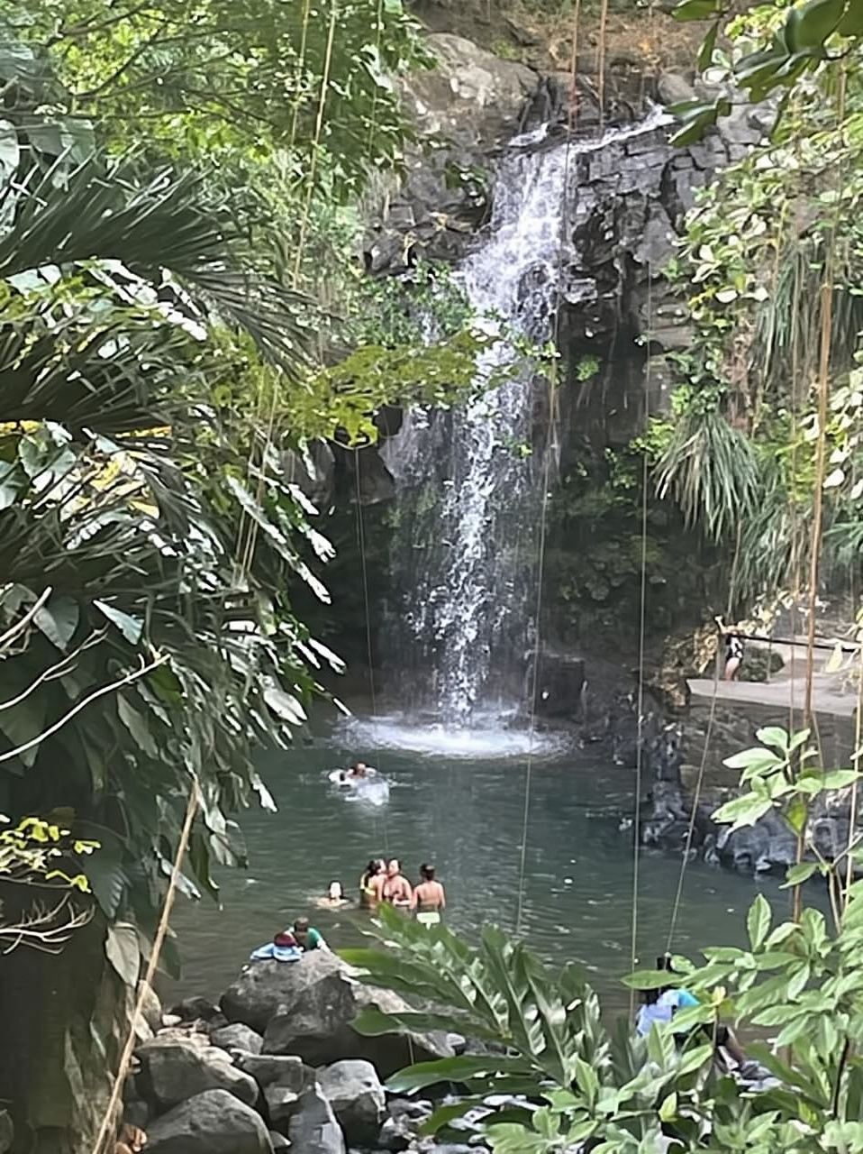 Grand Tours Grenada Call the Boss Taxi Luxurious Island Tour