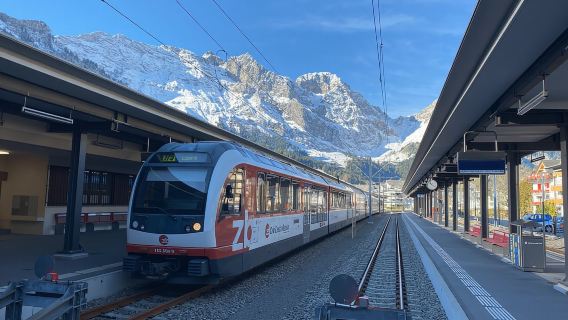 Mt. Titlis Glacier & Lucerne Old Town Tour | From Basel